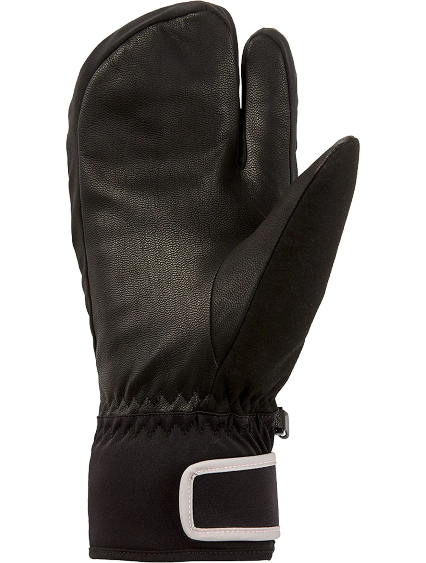 CHIRRIPO M C-TEX PRO skihandschoenen heren